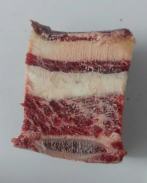 Sườn bò